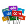 Domain Name Registrations Services in Pune, Maharashtra, India.